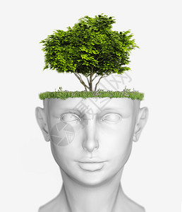 白色人头与树3D概念图片