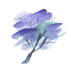绘画的Jacaranda树花图片