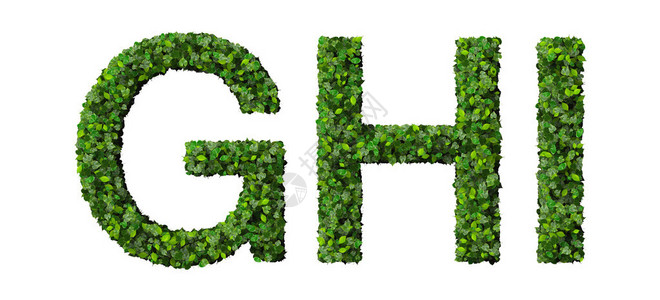 美丽的字母缩写由白色背景的绿色叶子组成图片