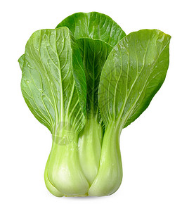 Bokchoy蔬菜图片