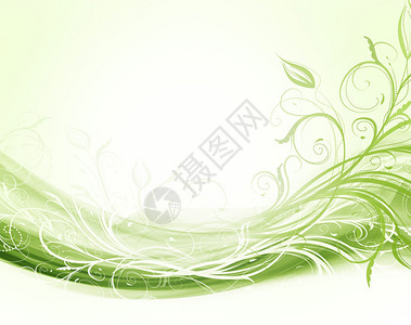 抽象现代花卉绿色和白色背景图片