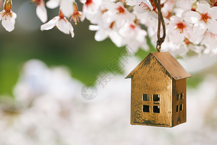 春天的小屋有花樱图片