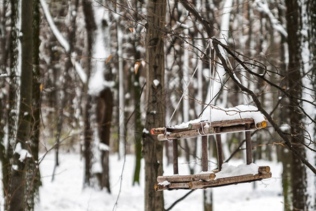 在白雪皑的森林里喂鸟的食槽特写图片