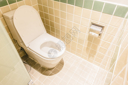浴室内厕所内置的厕所坐椅装饰图片