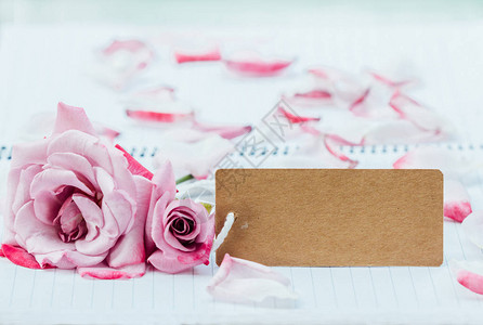 粉红玫瑰和笔记本上的图片
