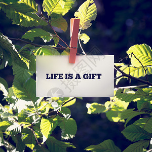 生命是礼物的灵感和激励信息图片