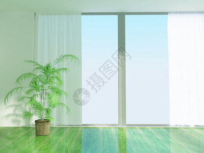 有大窗户和植物的房间图片