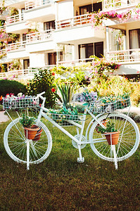 带花盆的装饰白色自行车图片
