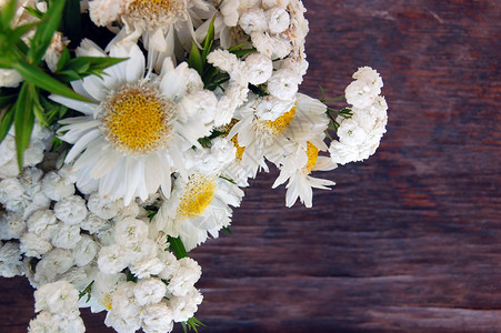 白色雏菊花美丽的春天花束图片