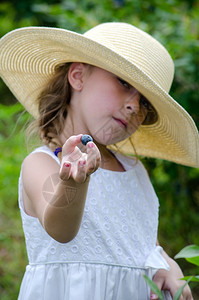 一个漂亮的小女孩穿着旧式白礼服和草帽在密歇根州一个农场上摘蓝莓然图片