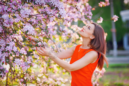 女人在花园里闻着春天的春天的花朵图片