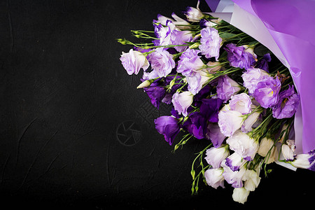 白色紫色和紫色的花朵混合图片