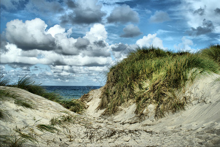 在一个刮风的夏日丹麦的沙丘景观图片