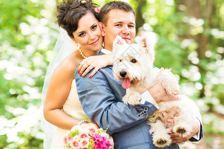 与狗的新娘和新婚礼夏图片