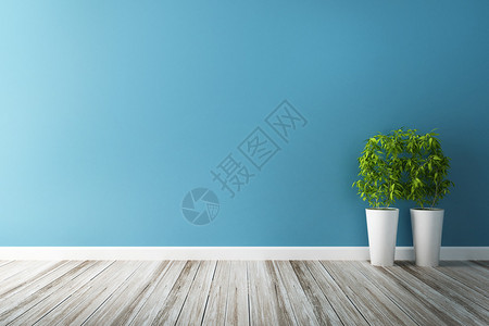 白色花地和蓝色墙壁内部背景图片