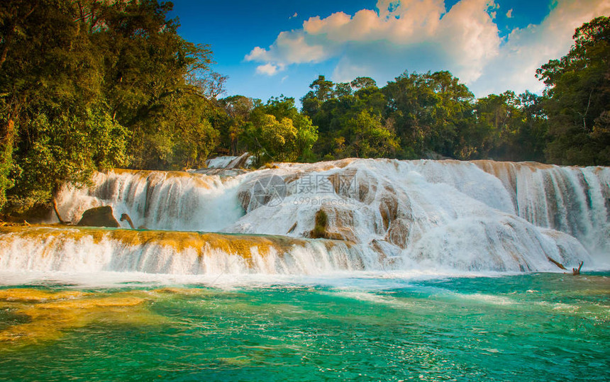 令人惊叹的瀑布景观与绿松石水池被绿树环绕AguaAzul图片