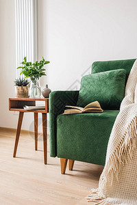 绿色沙发有枕头书本和毯子木咖图片