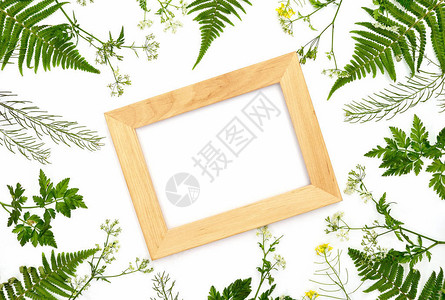 草药植物装饰背景框架平板固定构图片
