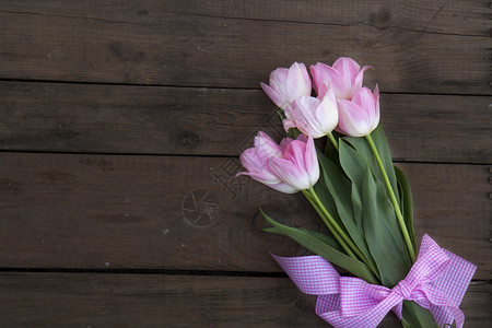 深木背景的粉红色郁金香花图片