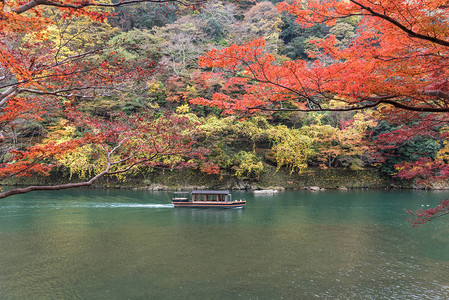 帆船在秋天岚山京都日本图片