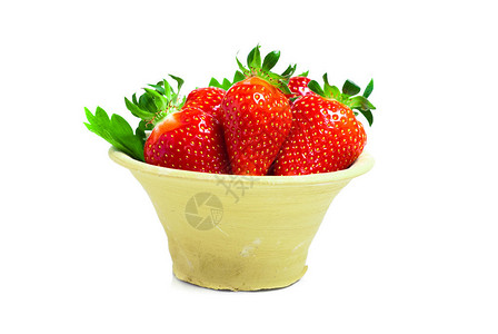 新鲜的草莓果实图片