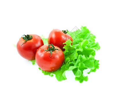 三种红番茄在生菜叶图片