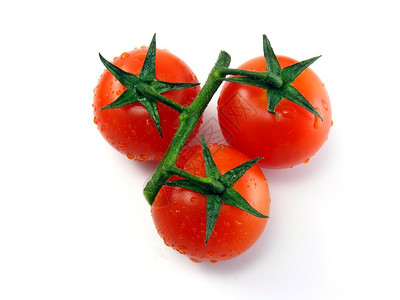 白色背景中带茎叶的湿新鲜番茄图片