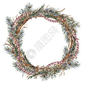 冷杉树枝的水彩圣诞天然花环圣诞装饰星珍珠老式植物圆形框架图片