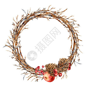 水彩圣诞自然花环的树枝红苹果浆果松果老式植物圆形框架图片