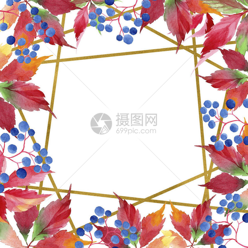 水彩红葡萄叶植物园花卉叶子框架边框装饰广场背景纹理包装图案框架或边图片