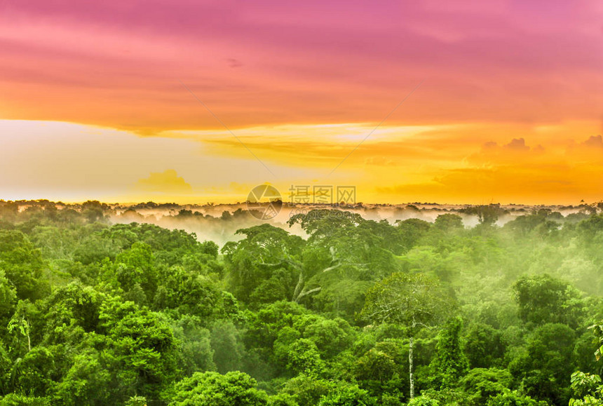 欣赏巴西亚马逊雨林的粉红色日落图片