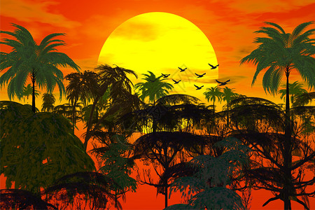 日落丛林图图片