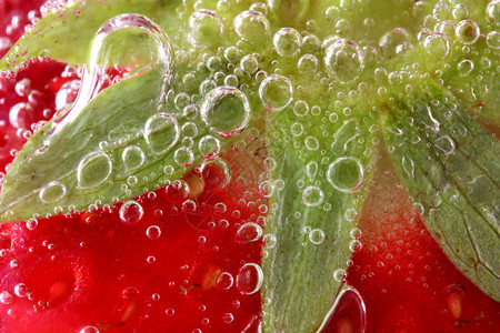 水宏中的草莓图片