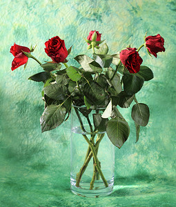 花瓶中的红色玫瑰花图片