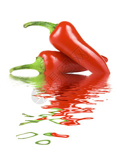 两个红辣椒反映在白色背景图片