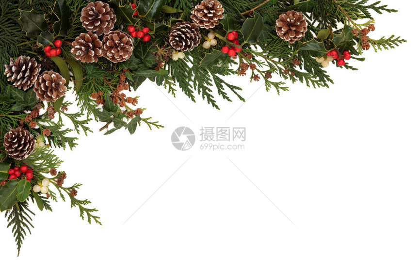 圣诞的边框有冬眠常春藤寄生虫和雪松西普丽叶图片