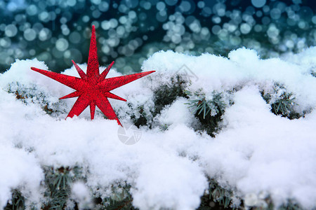 雪花树枝和圣诞红星在雪上圣诞图片