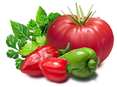 番茄红和绿辣椒草药Adjika成分滑图片