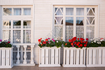 房子外的花朵房子的窗子红白小感图片