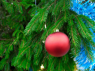 圣诞树绿枝细节与红球装饰图片