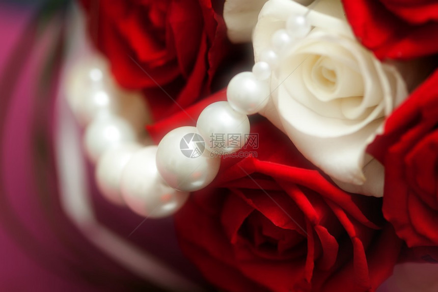 开花的红色和白色玫瑰与珠子图片