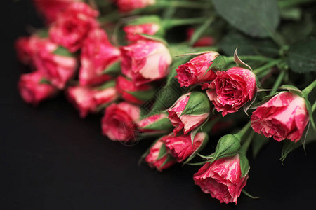 黑色哑光背景上的红玫瑰花束图片