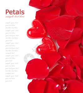 红玫瑰花瓣和红玫瑰的心在白图片