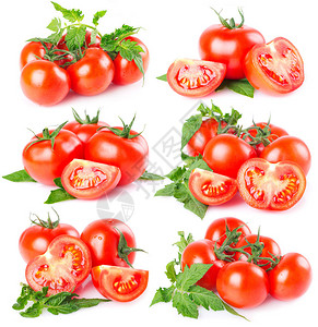 收集新鲜番茄白色背景背景图片