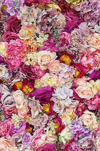 粉红浪漫美丽的花墙婚礼场景的玫瑰背图片