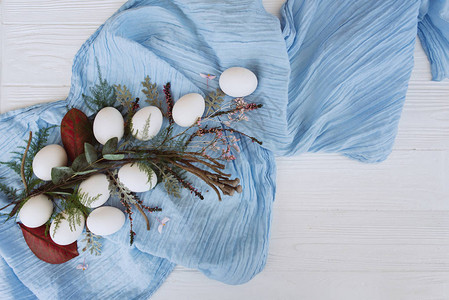 由鸡蛋蓝披肩花蕾和根茎组成的花粉图片