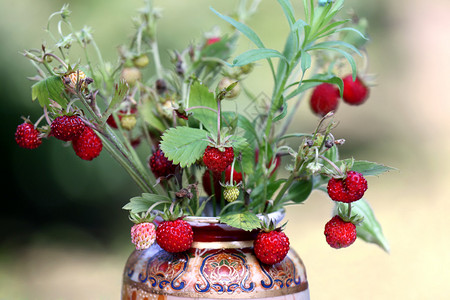 野草莓花朵瓶中盛放图片