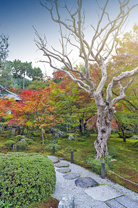 秋天在日本京都Enkoji图片