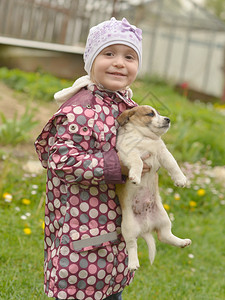 小女孩和她的小狗吉娃小狗图片