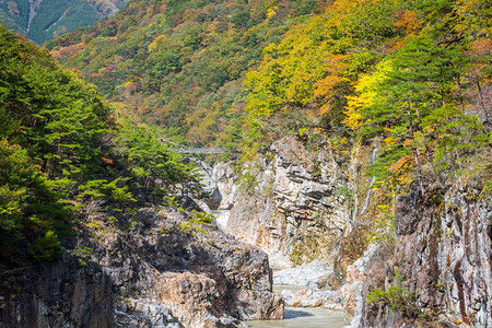 秋季日光鬼怒川溪流龙王谷图片